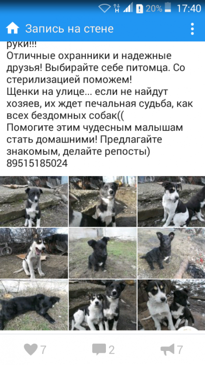 Screenshot_2016-02-15-17-40-40.png