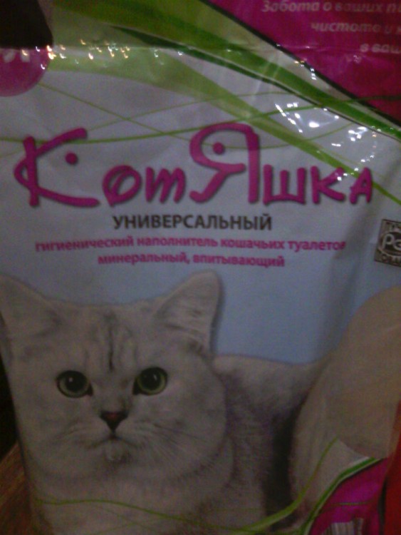 КотЯшка.jpg
