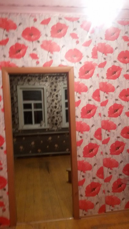 8KECrIbs1UU.jpg
