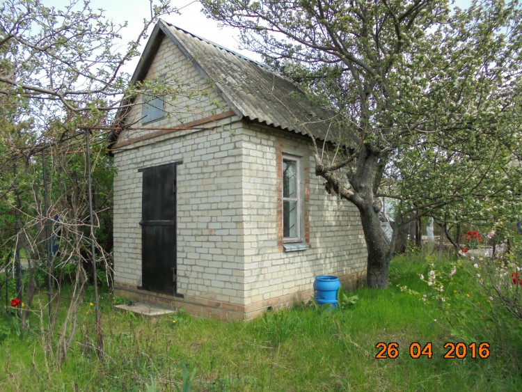 DSC00908.JPG