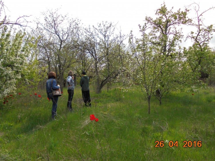 DSC00909.JPG