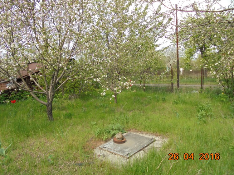 DSC00910.JPG
