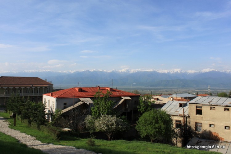 IMG_4871.JPG