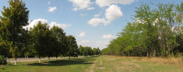 307.jpg