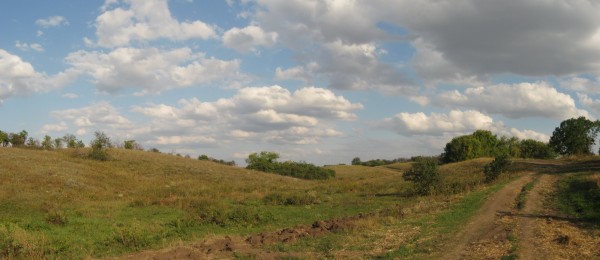 315.jpg