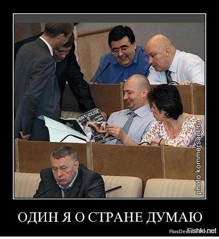 вольфович.JPG