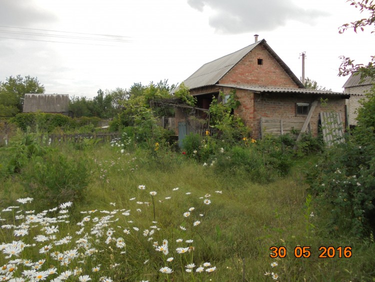 DSC00986.JPG