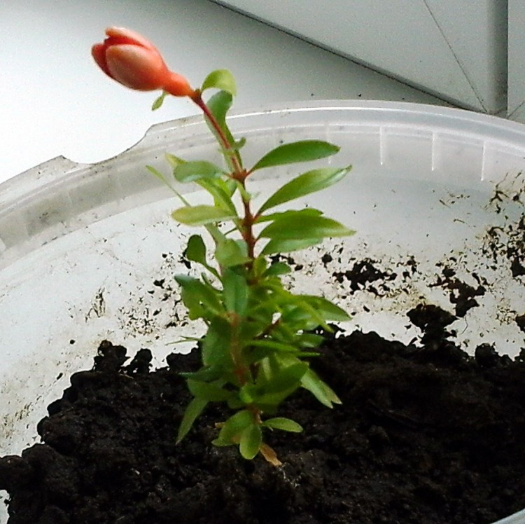 20160612_105241.jpg