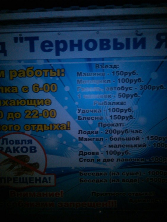 viber image.jpg