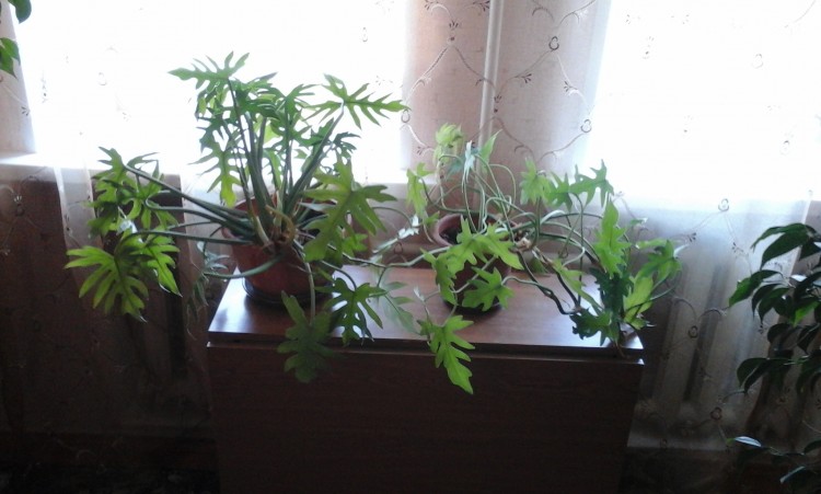 20160714_112000.jpg