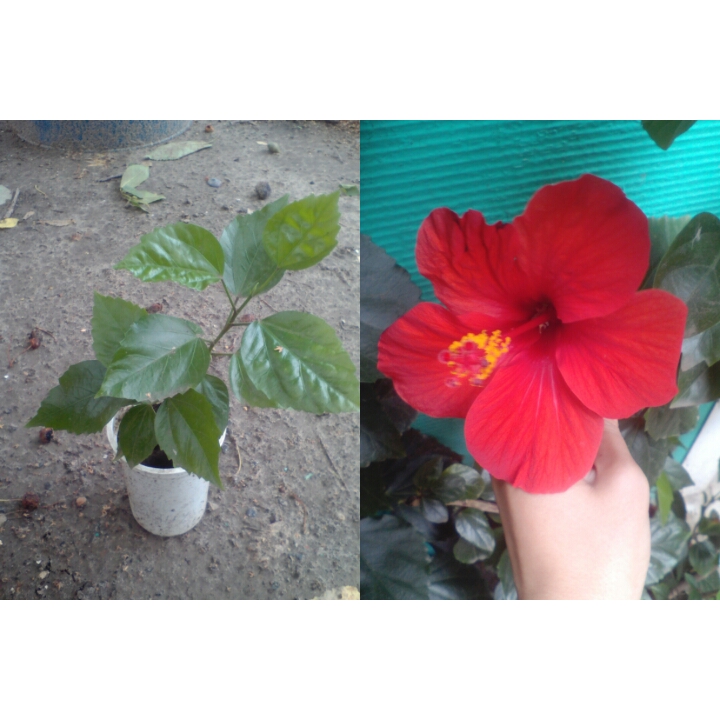 Instasize_0724162629.jpg