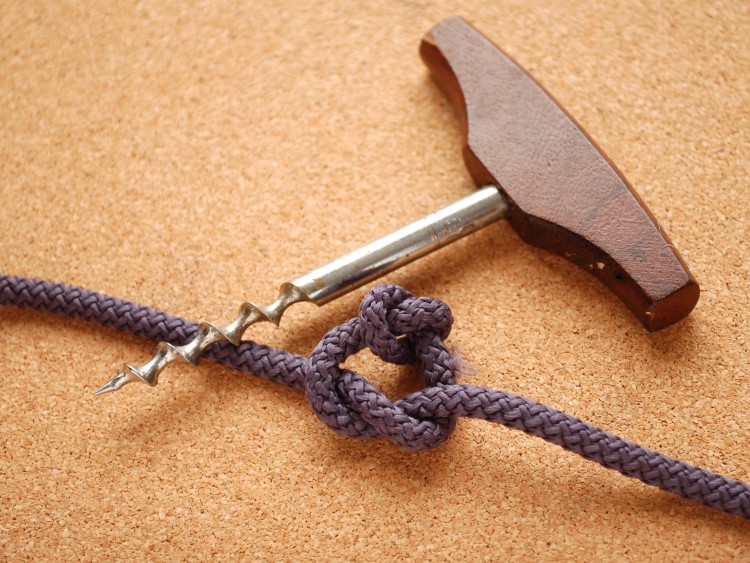 Untie-Shoelace-or-String-Knots-Step-17.jpg
