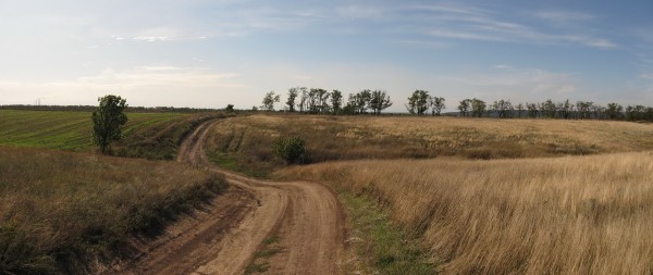 Панорама 339.jpg