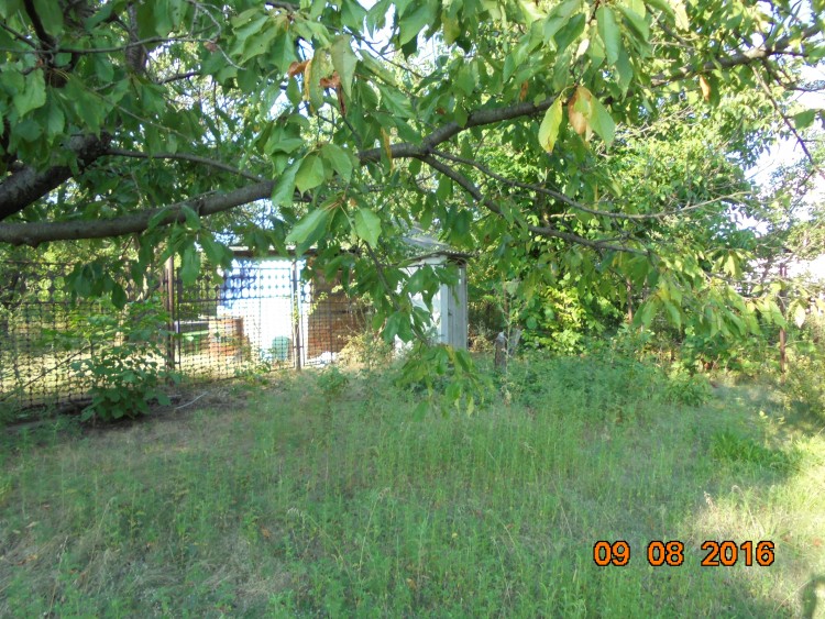 DSC01108.JPG