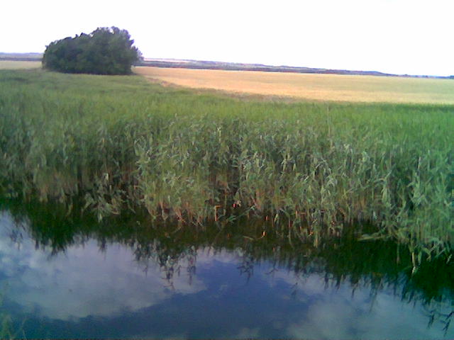  купального сезона-2007.jpg