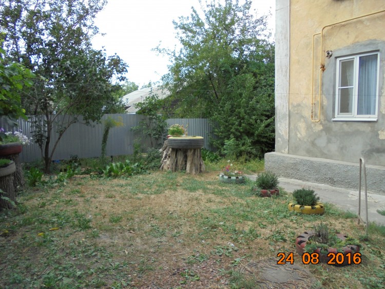 DSC01155.JPG
