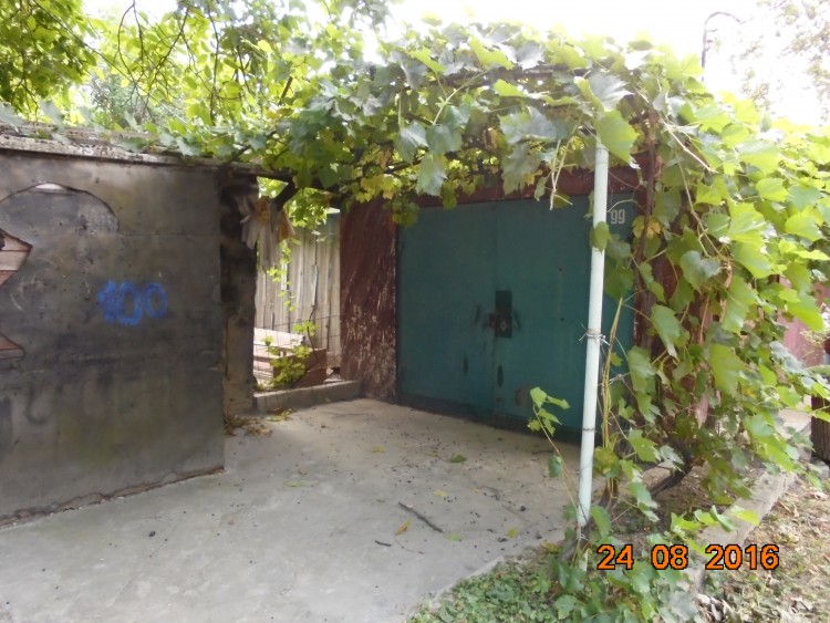 DSC01156.JPG