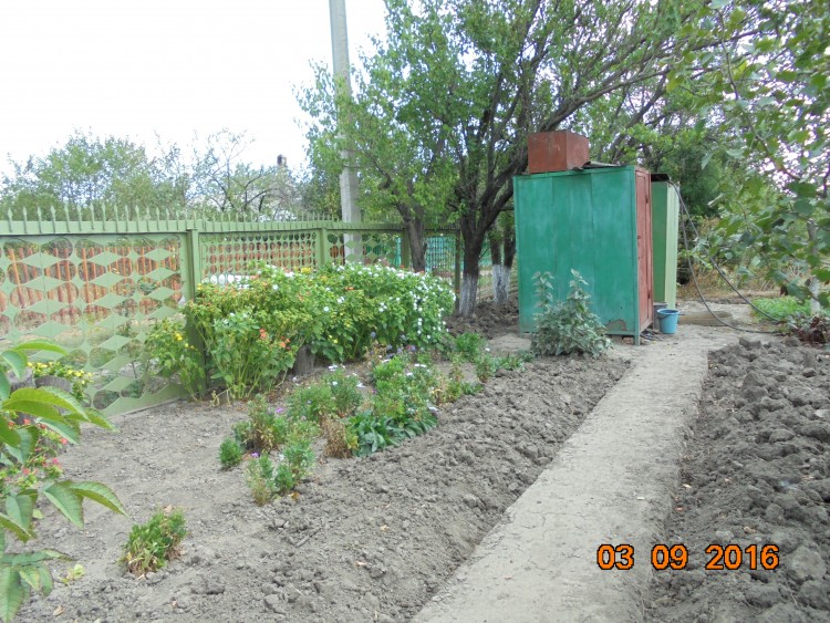 DSC01161.JPG