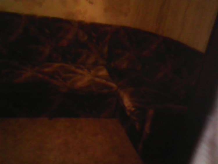 IMG_20150305_171719.jpg
