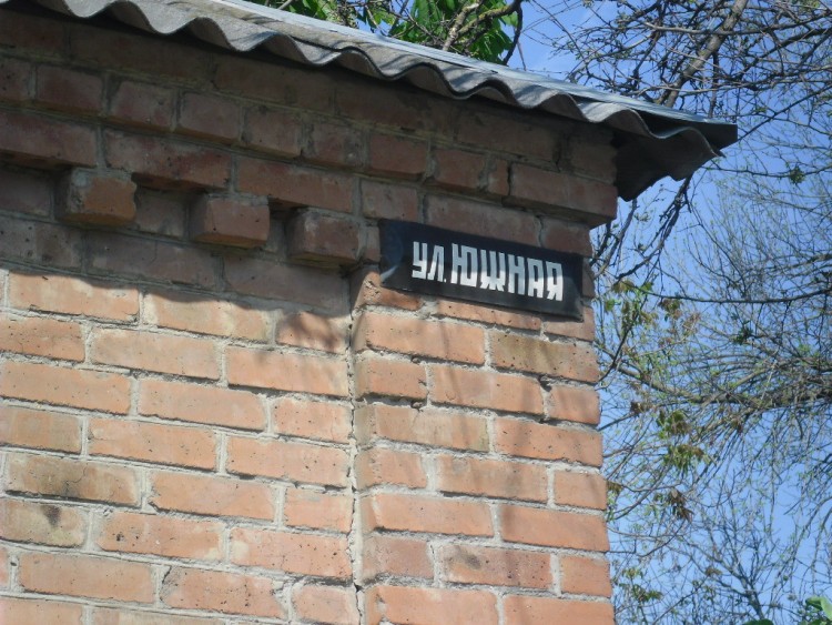 image.jpg