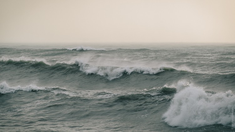 DSC_2041.jpg