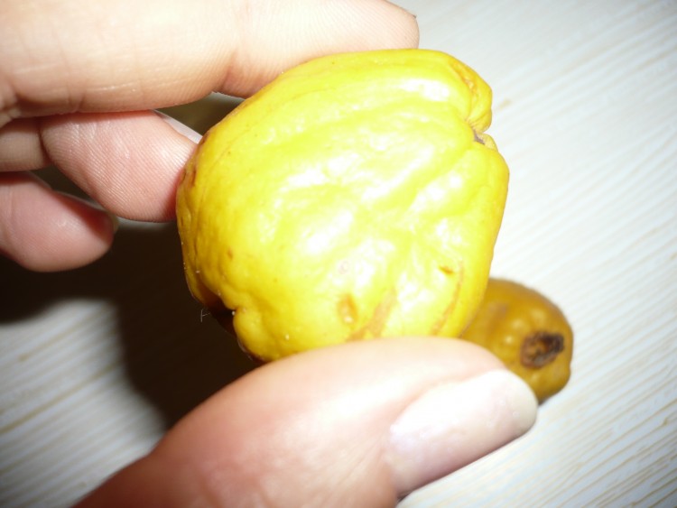 P1080643.JPG
