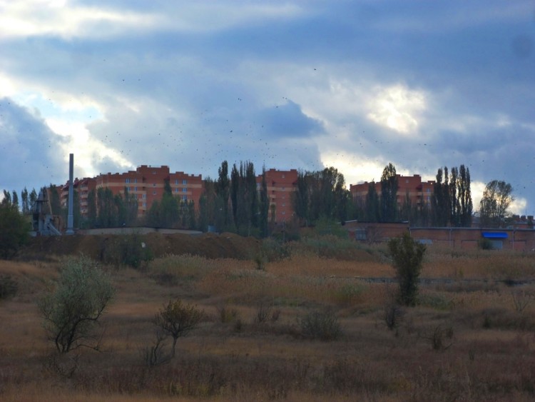 P1200234.JPG