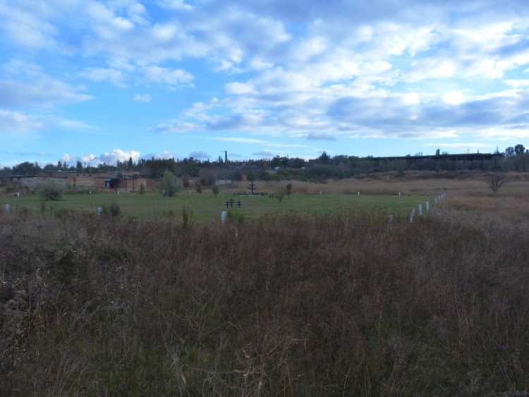 P1200231.JPG