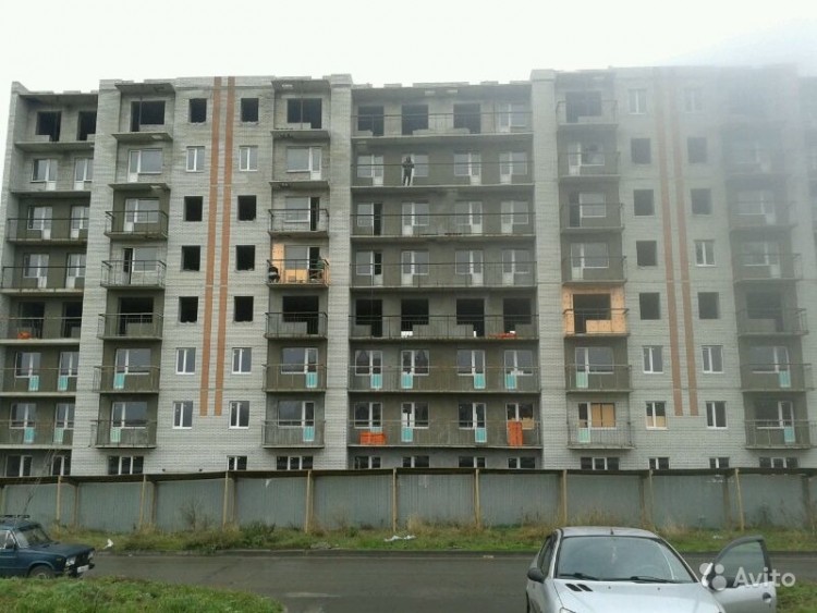 3146504811.jpg