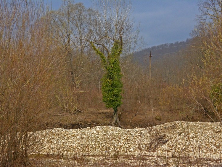 P3152232.JPG