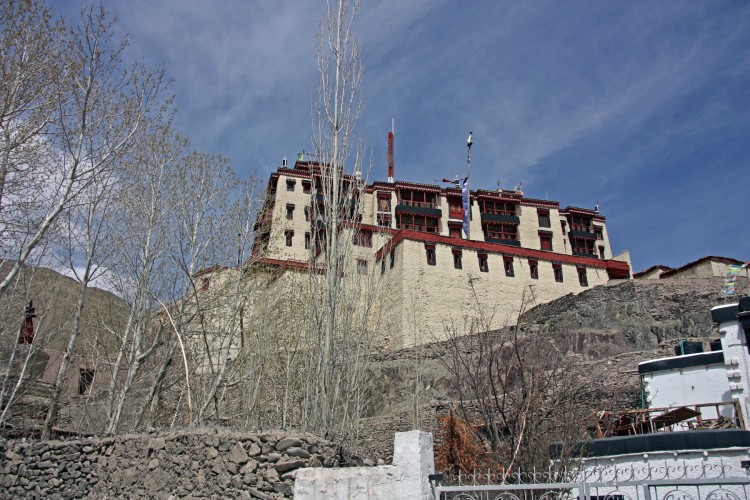 IMG_8833.JPG
