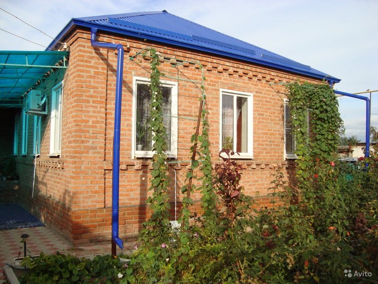3394031843.jpg