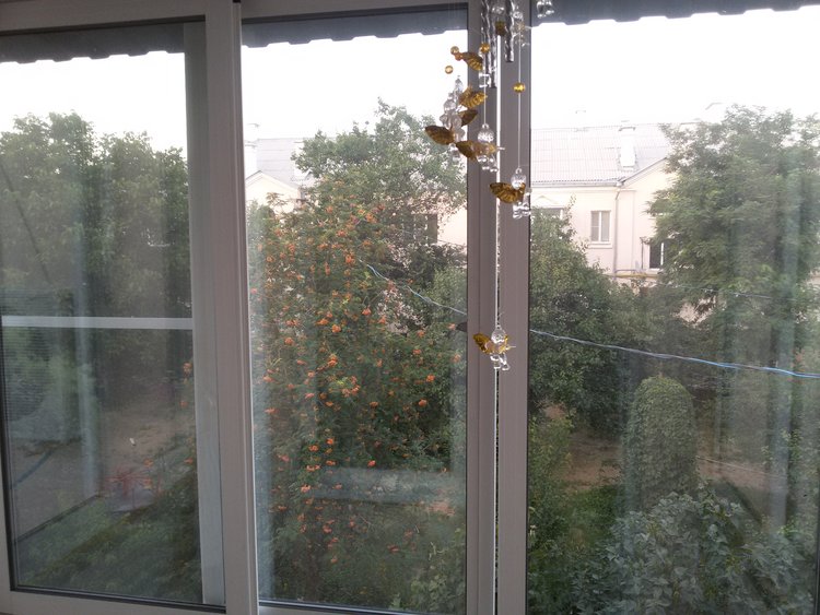 20160716_194953.jpg