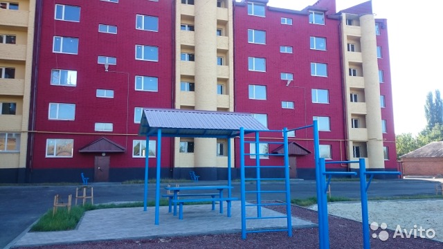 2945699207.jpg