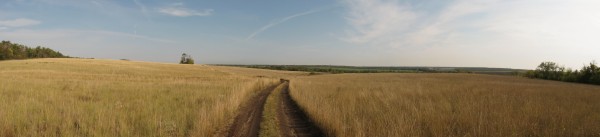 Панорама 350.jpg