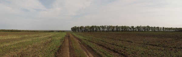 Панорама 352.jpg