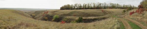 Панорама 376.jpg