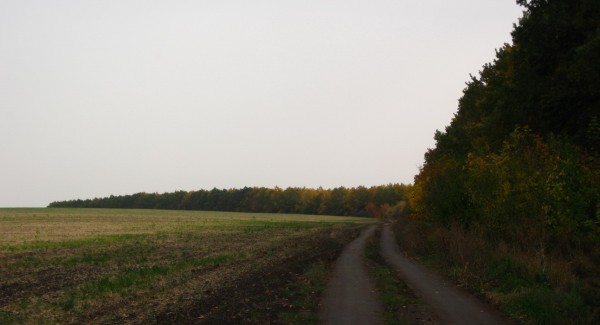 Панорама 388.jpg