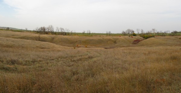 Панорама 397.jpg