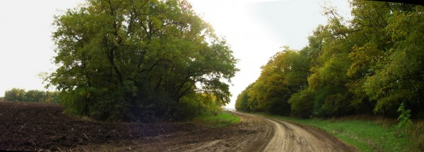 Панорама 401.jpg