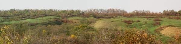 Панорама 429.jpg