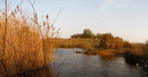 Панорама 431.jpg