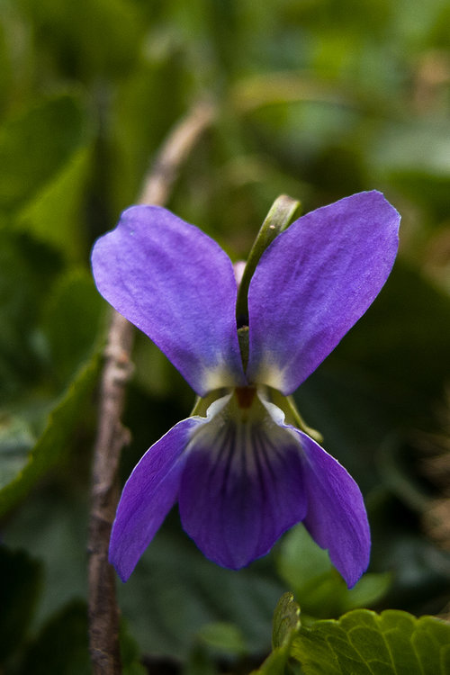 DSCN2989.jpg