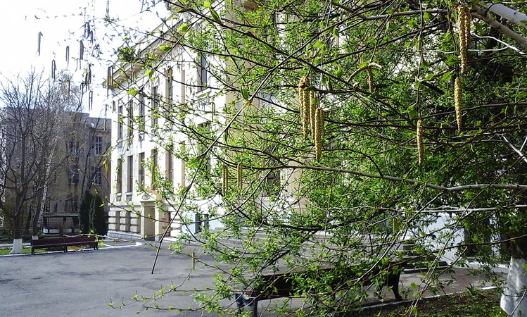 20170410_093115.jpg