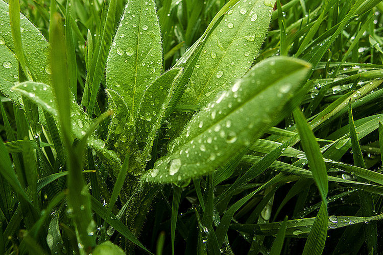 DSCN3012.jpg