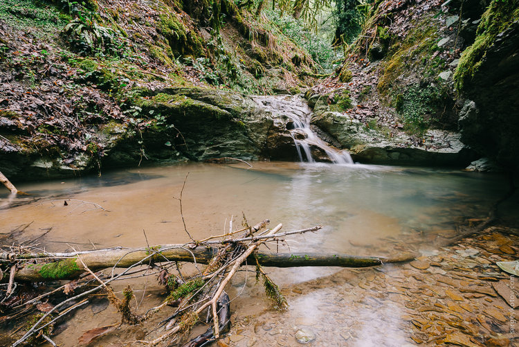 DSC_0051.jpg