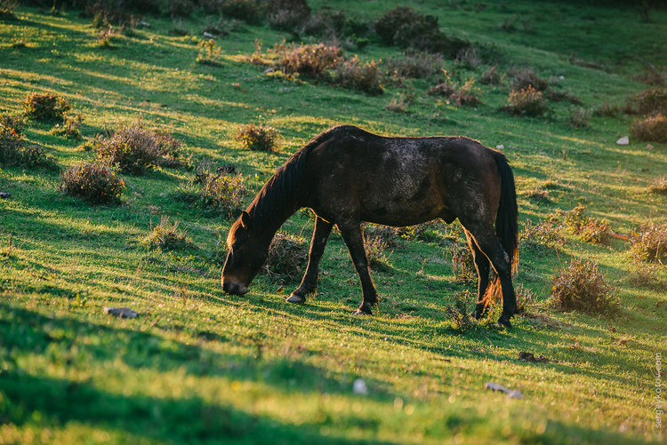 DSC_0162.jpg
