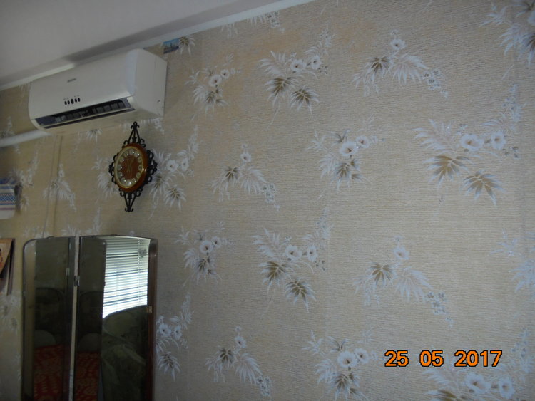 DSC01565.JPG