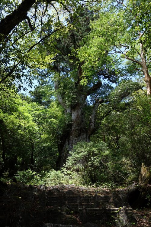DSC00910 [50%].JPG