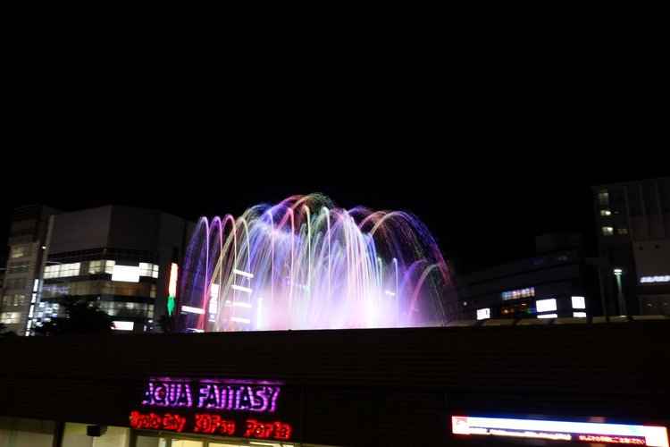 DSC01024 [50%].JPG